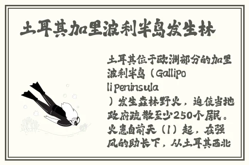男生爱吃初中女孩子的JIOJIO